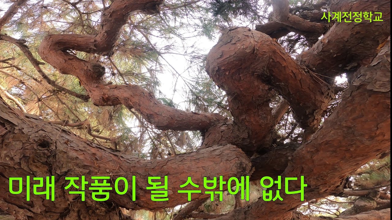미래 작품이 될 수밖에 없다.#207사계전정학교 24 10 04