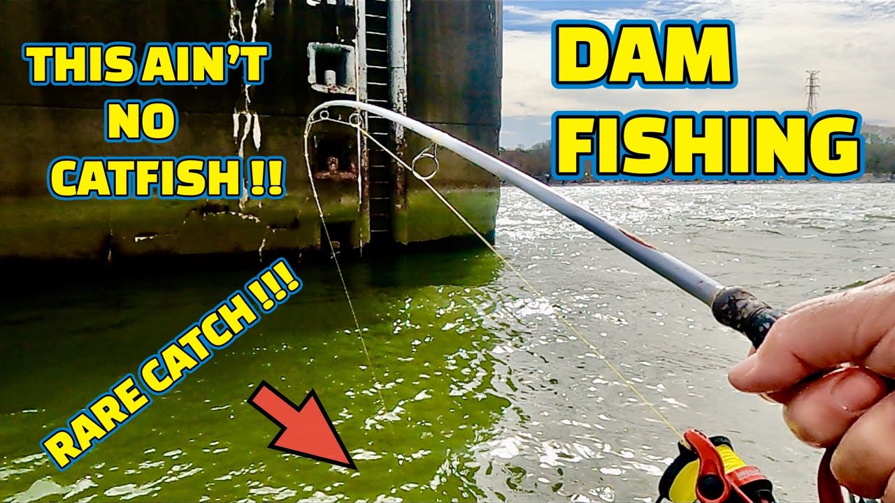SURPRISE CATCH fishing at THE DAM on the TENNESSEE RIVER !!