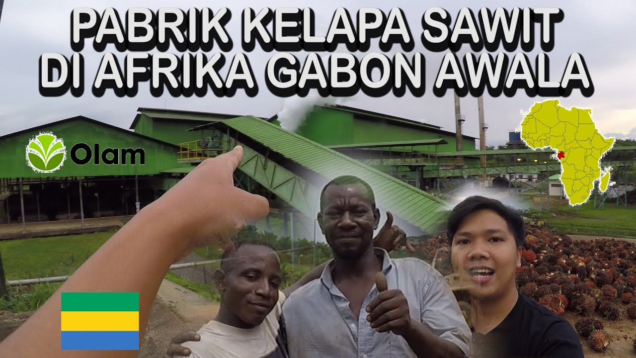 PABRIK MINYAK KELAPA SAWIT TERBESAR DI AFRIKA GABON AWALA OLAM 🇬🇦