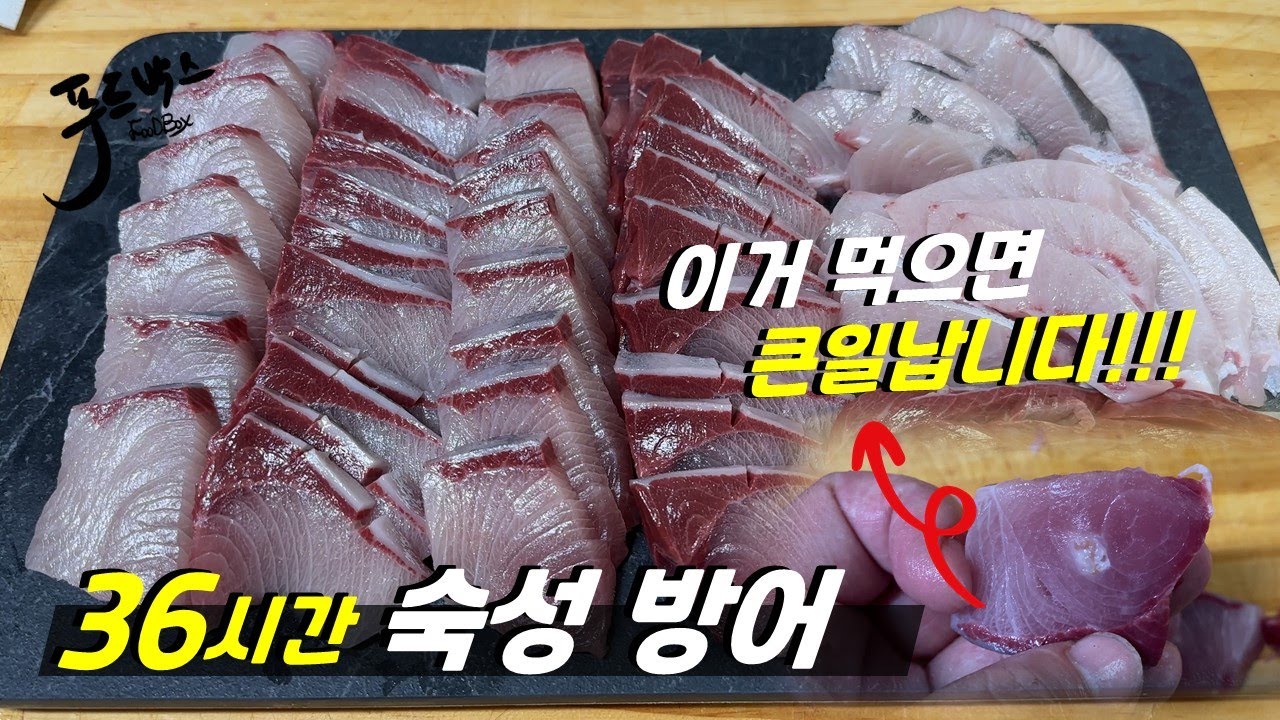 방어 36시간 숙성했더니.... 근데 이건 절대 먹으면 안돼요!!!