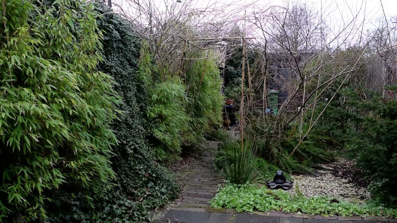 The boring Garden #080