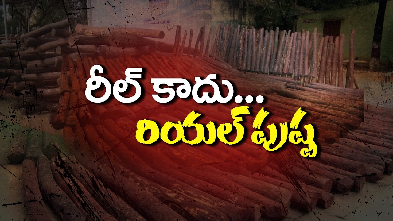 International Smuggling Kingpin Finally Caught | Red Sandalwood Smuggler Arrested || Neralu Ghoralu