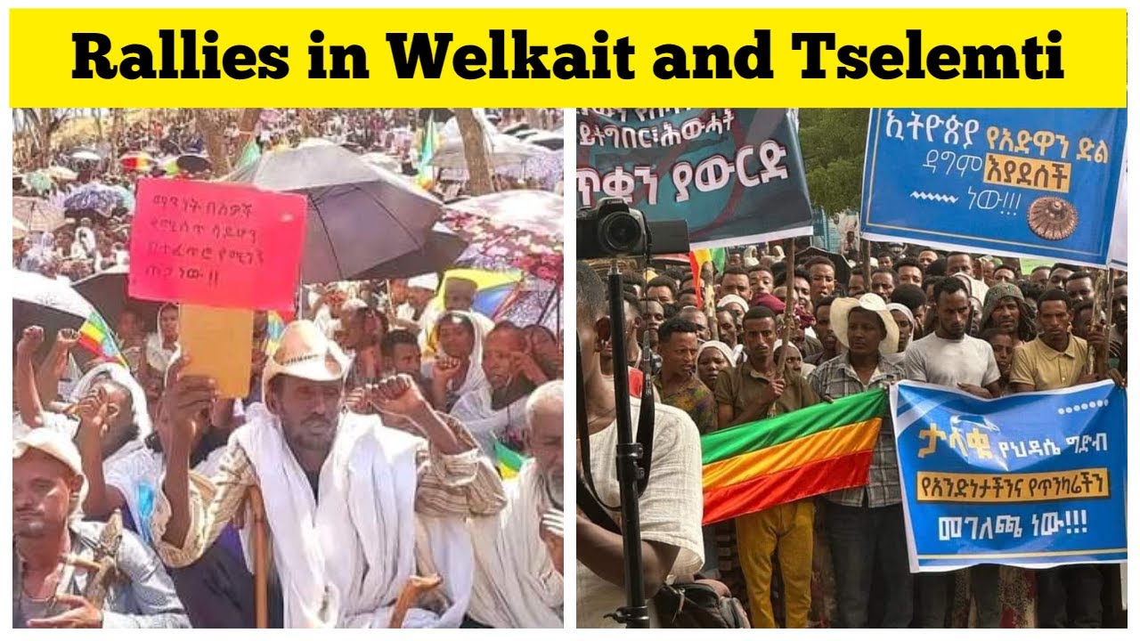 Rallies in Welkait and Tselemti