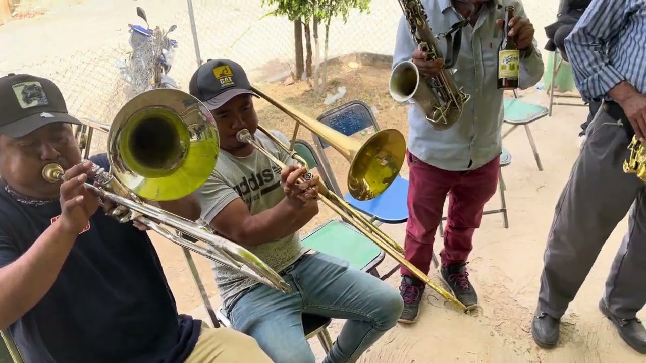 ROSITA DE OLIVO CON LA BANDA DE TEXCALAPA @texcalapadejuarez1421  @ellimonpetlalcingopuebla 