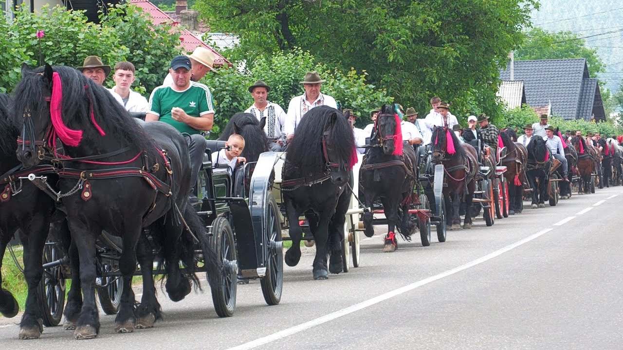 Parada cailor de la Putna - Bucovina 2 Iulie 2024