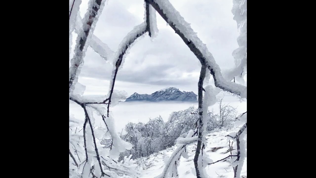 The Storly of Winter / RAPRIN