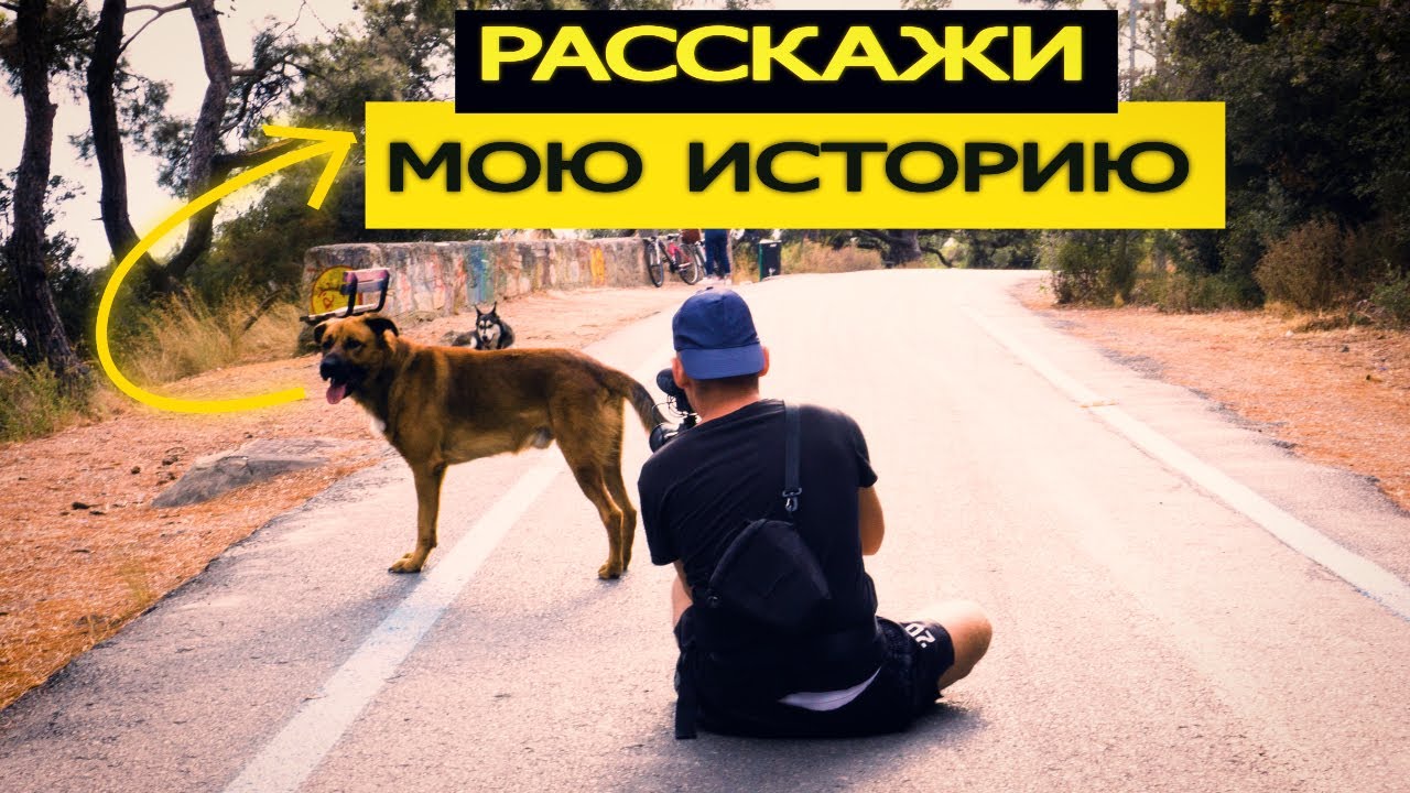 Один ДЕНЬ из жизни СОБАКИ на ОСТРОВЕ  *История Любви*