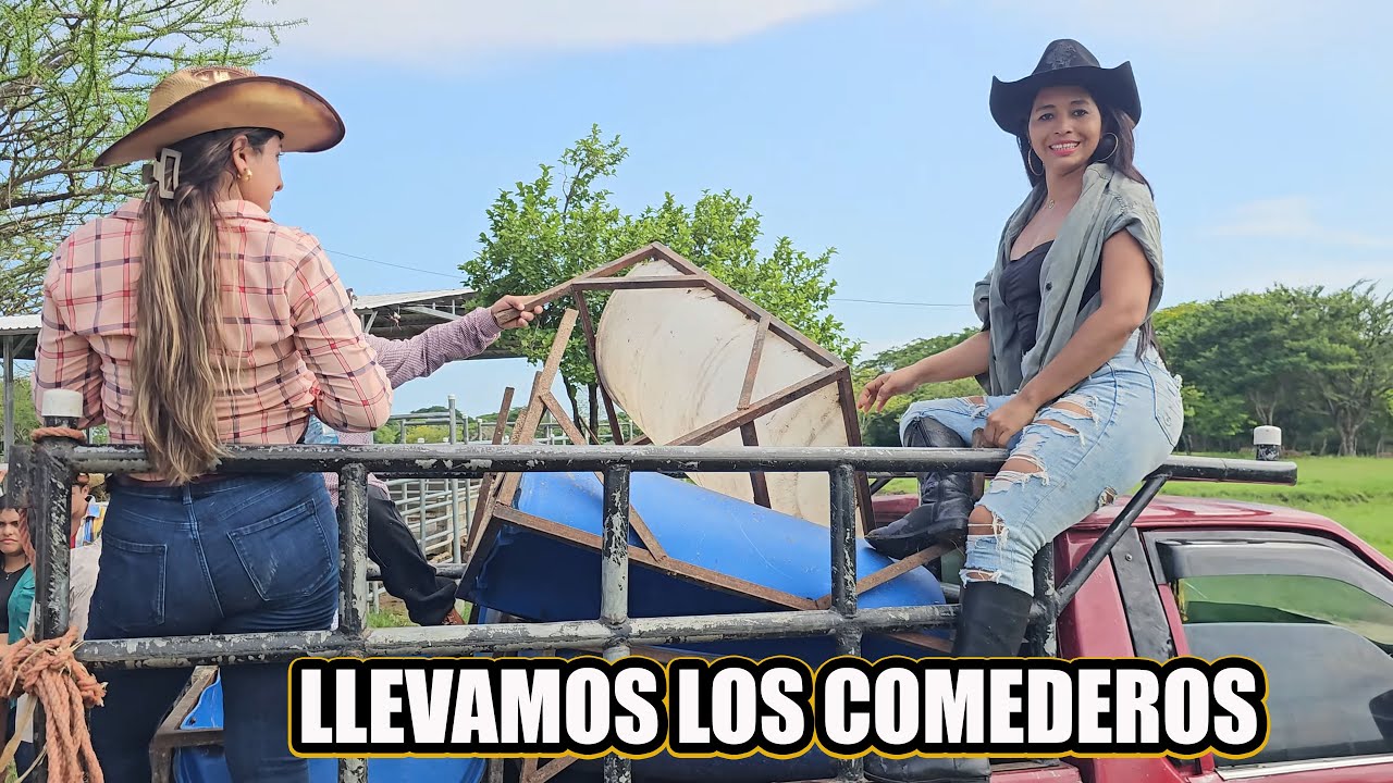 Vamos a dares de comer al ganado.