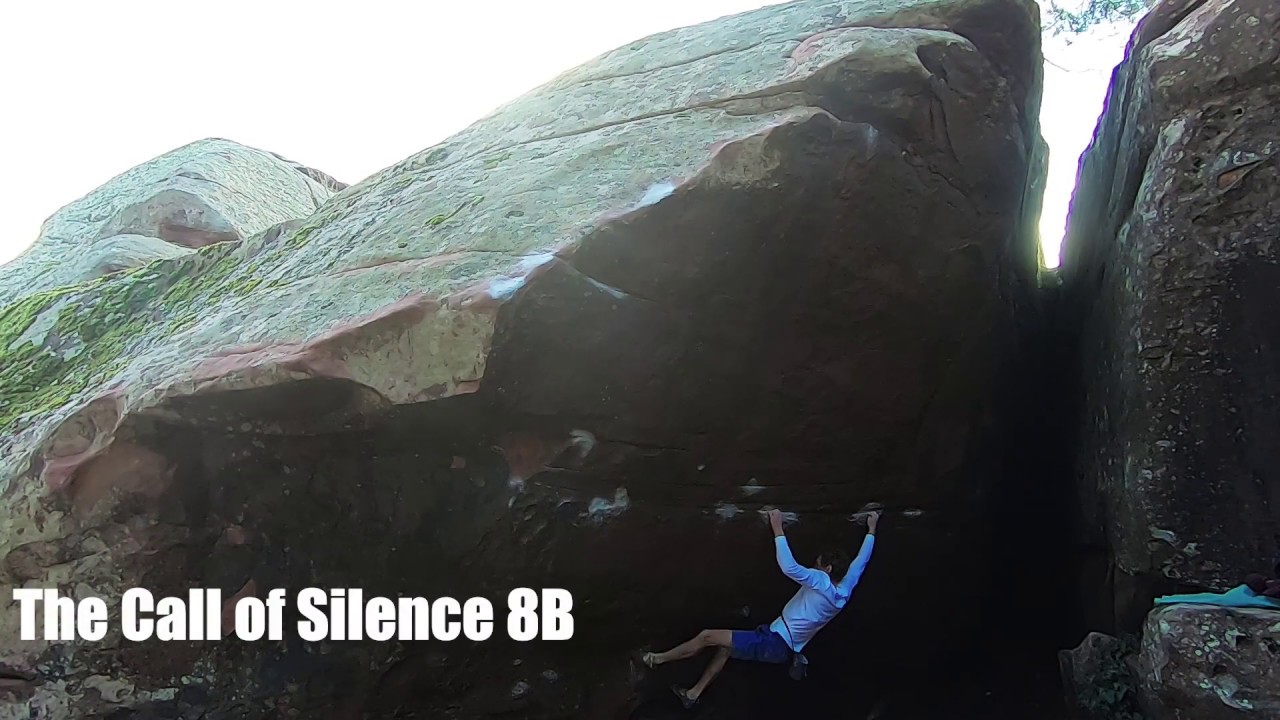 The Call of Silence 8B
