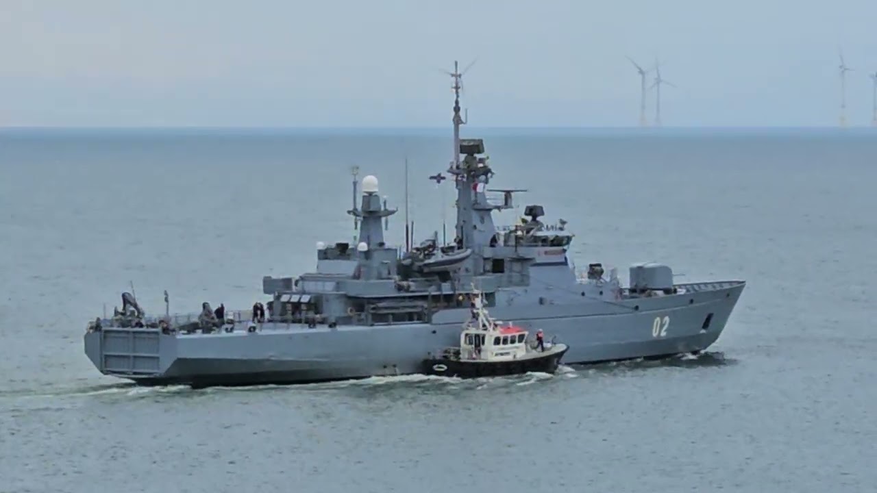 Dolphins Frolic While Navy / war / gun ship departs Aberdeen