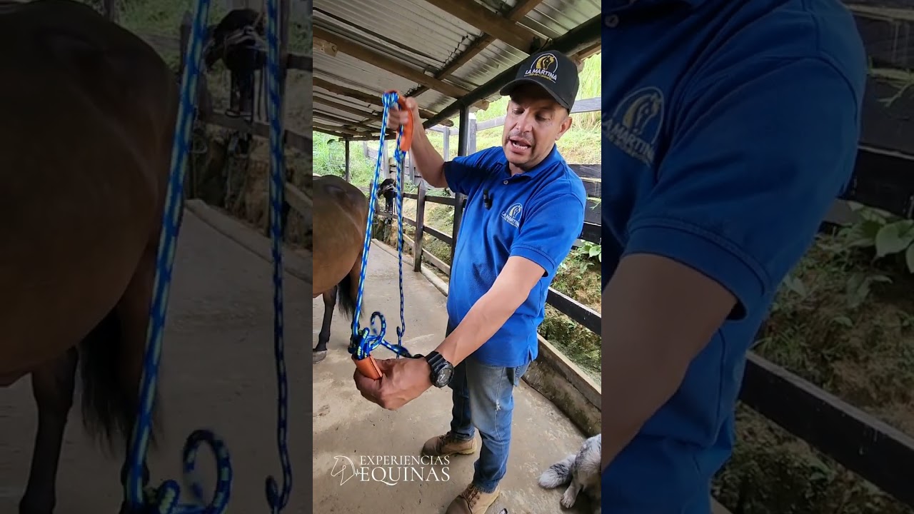Sueltas para inmovilizar las patas de los caballos y evitar accidentes