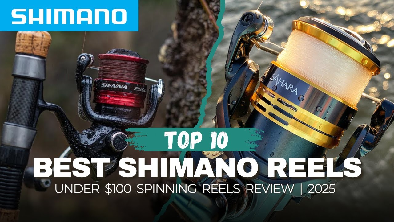 Top 10 Best Shimano Reels Under $100 | 2025 Review