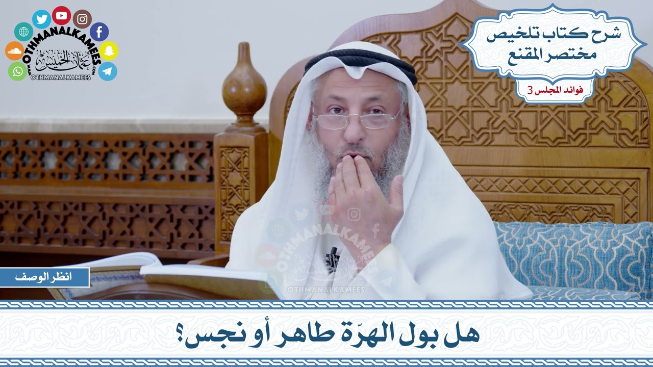 85 - هل بول الهرّة طاهر أو نجس؟ - عثمان الخميس