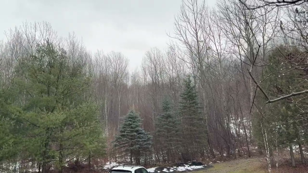 December Storm Slams Vermont With High Winds, Downpours