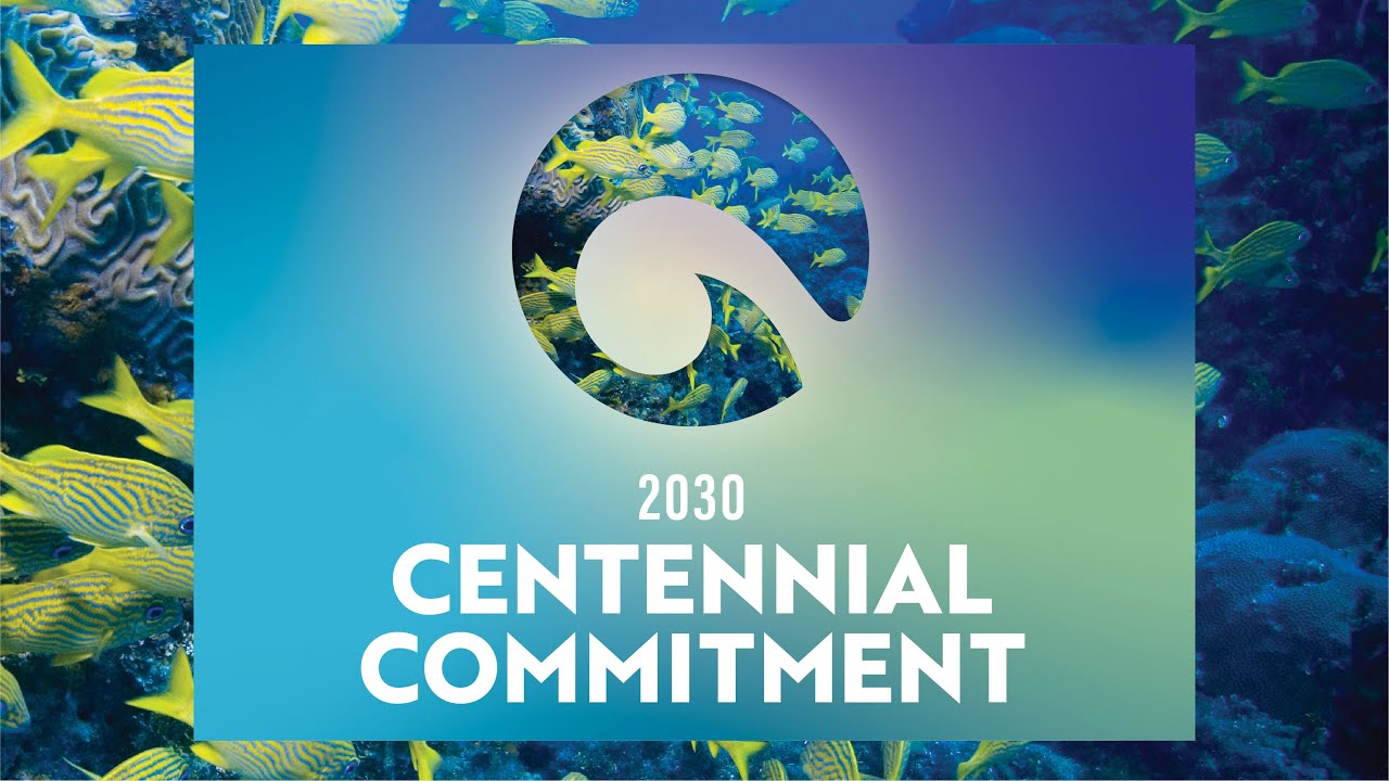 2030 Centennial Commitment