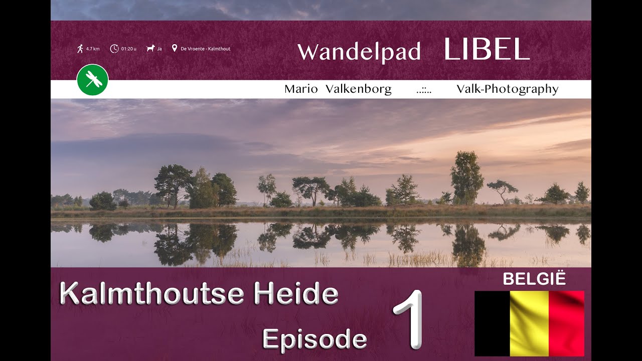 Libelle wandelroute - Kalmthoutse Heide