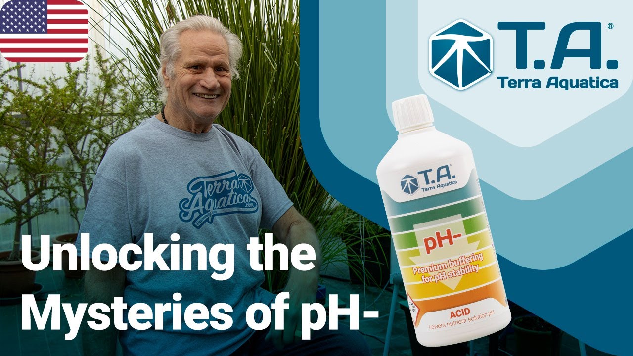 How to adjust water pH with pH Down? 💦
