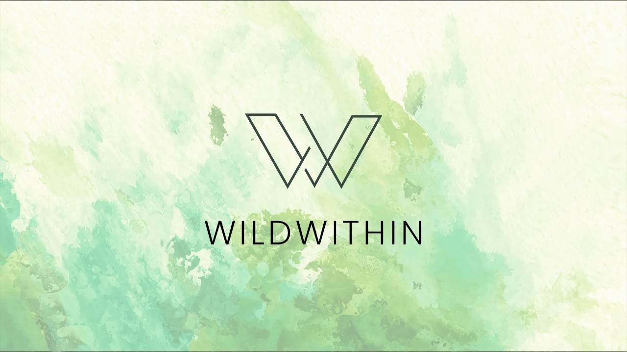 Seeing Hurricanes | On the capacity to hold darkness and beauty at the same time | WW Talks