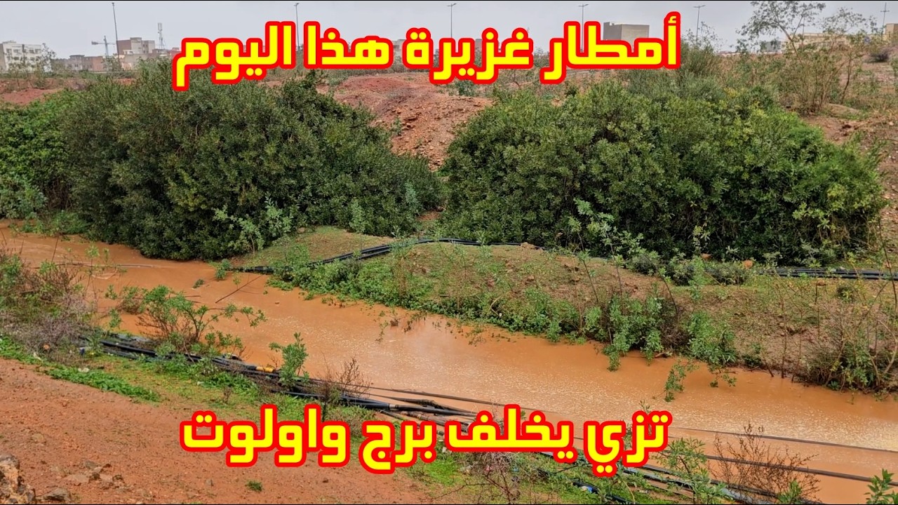 أمطار غزيرة هذا اليوم جولة في تيزي يخلف نواحي بركان أجواءً شتوية بامتياز