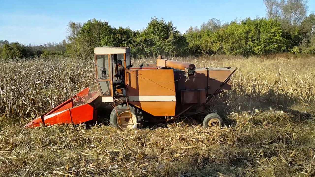Zmaj 133 kroz kukuruz 2019