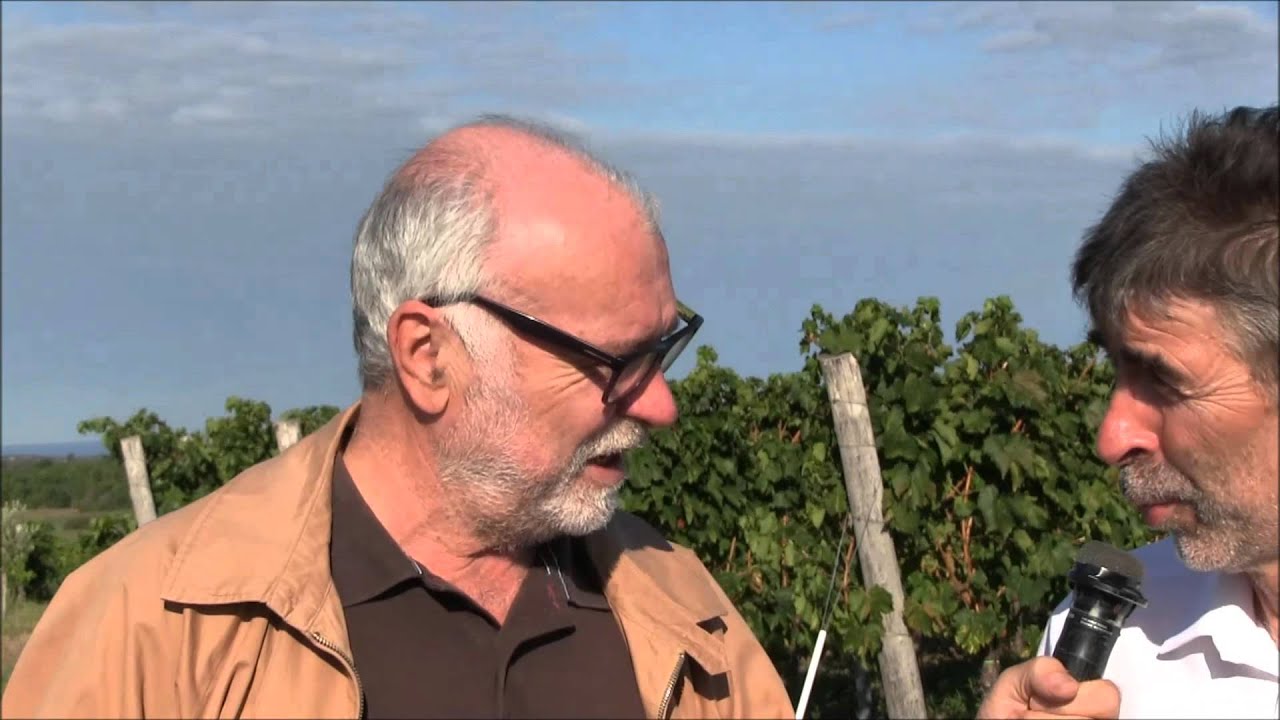 Comunicare per Esistere verso l'Istria