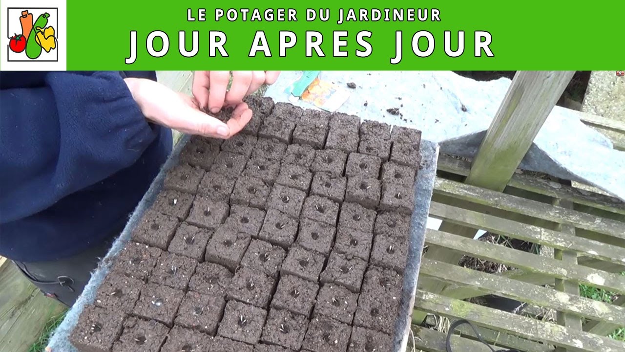 Préparation du terreau a presse mottes