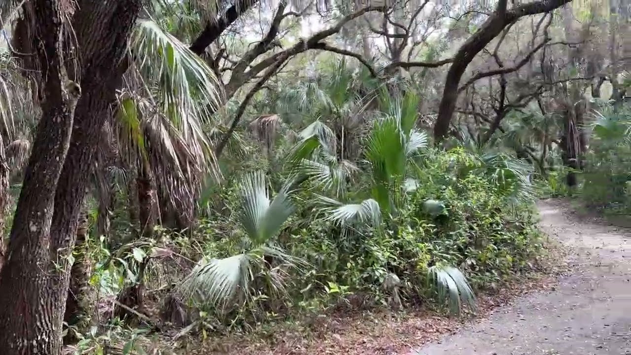 nature walk in miami florida