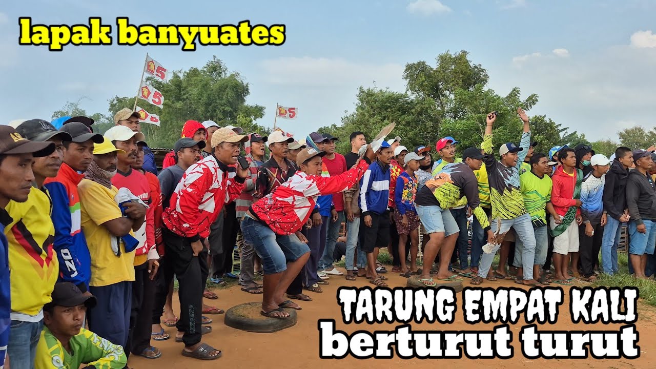 Merpati balap di lapak banyuates12 Mar 2026