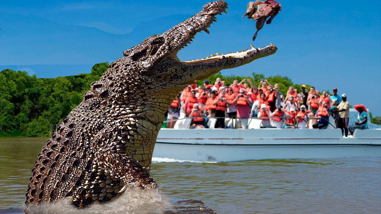 10 BIGGEST Crocodiles In The World!
