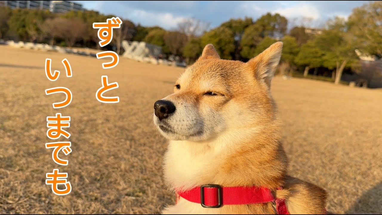 当たり前の毎日をずっと守っていきたいと思いました