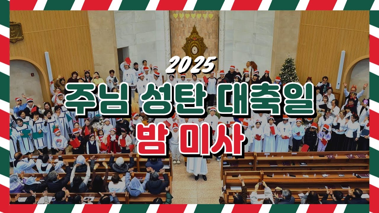 [호평동성당] 주님 성탄 대축일 - 밤 미사 (25년 12월 24일 저녁 8시)