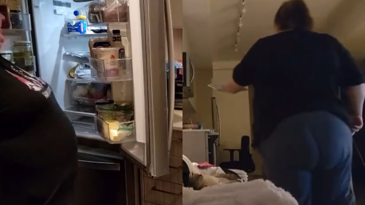 Foodie Beauty's Cat is in HEAT & DELETED Twitch Stream |&nbsp;HIGHLIGHTS