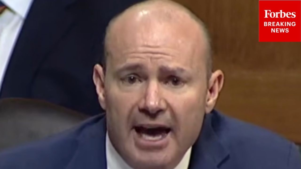 'I Suspect That This The Tip Of The Iceberg': Mike Lee Issues Warning Over Extent Of MN Fraud