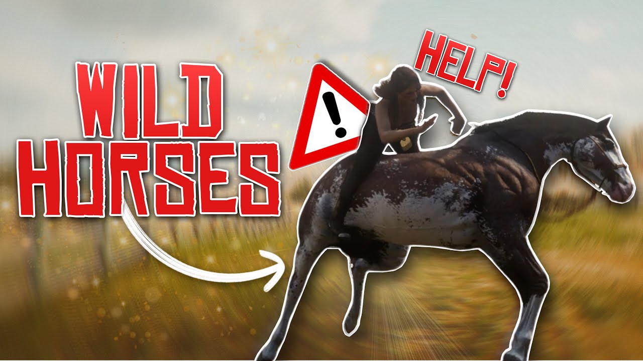 RDR2 Ролевая игра... но мы объезжаем диких лошадей