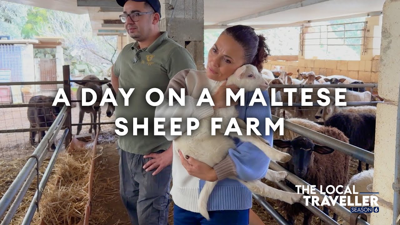 A Day on a Maltese Sheep Farm | S6 EP: 14, part 2 | The Local Traveller with Clare Agius | Malta