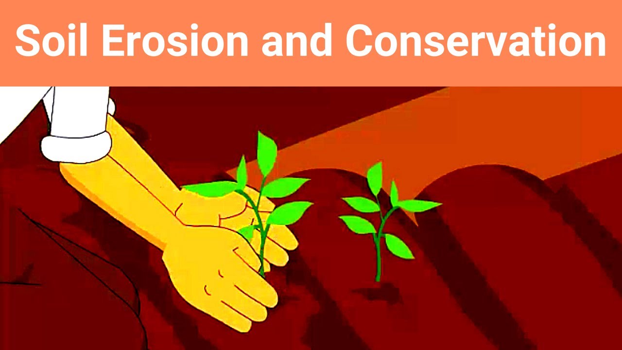 Soil Erosion and Conservation | Effects of Soil Erosion | Measures to Control | iPrep
