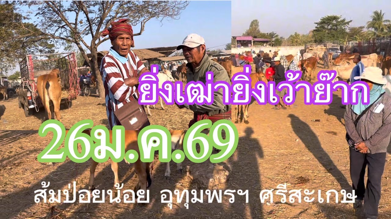 ยิ่งเฒ่ายิ่งเว้าย๊าก#26ม.ค.69 ส้มป่อยน้อย ศรีสะเกษ