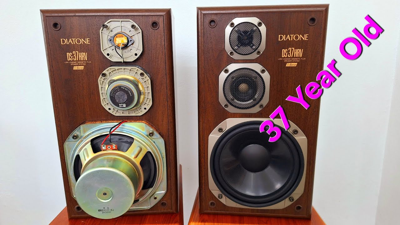 Inside the Insane Internal Build of the Diatone DS-37HRV Speaker (Made in Japan)