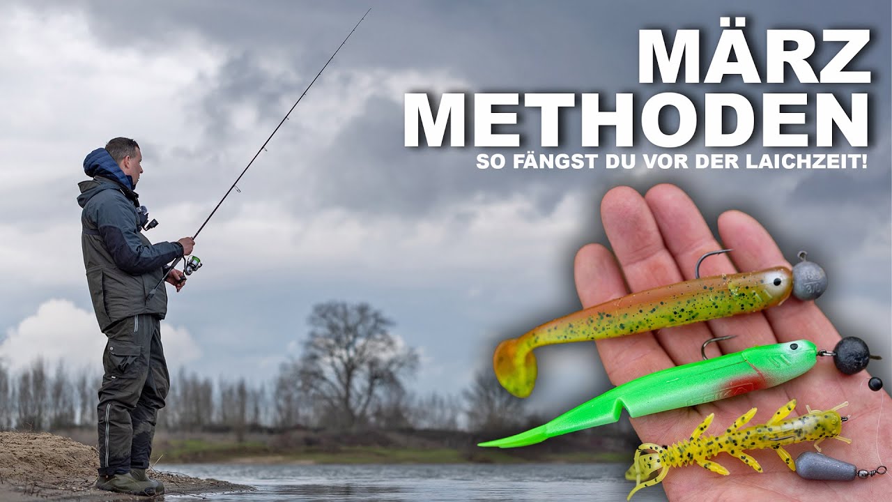 Barsche und Zander im M&auml;rz - Diese Methoden fangen jetzt