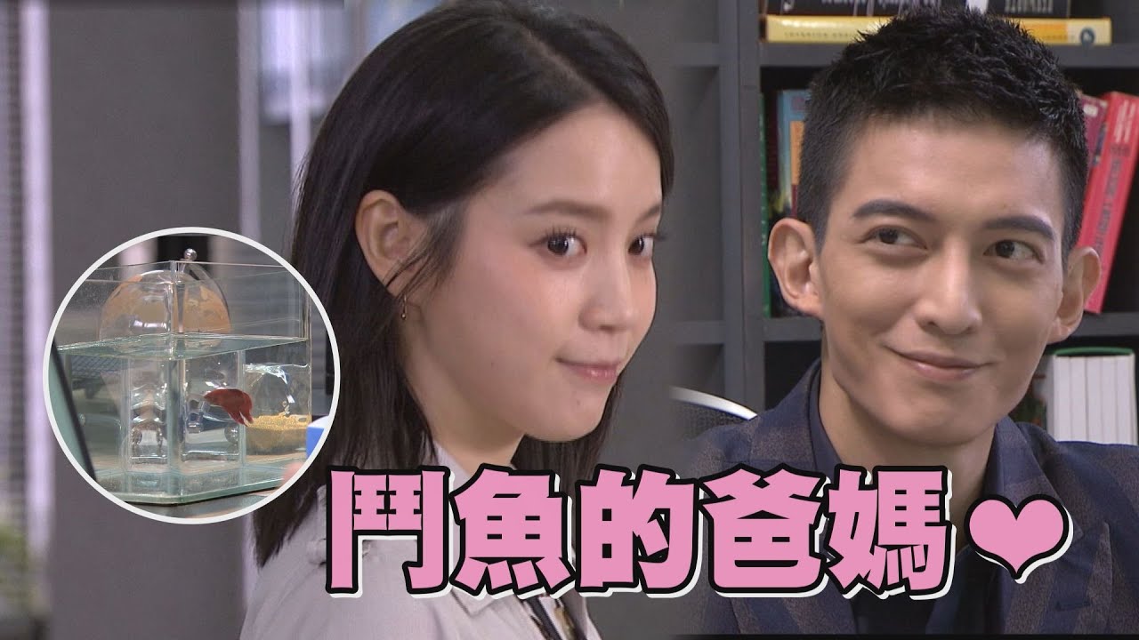【我的青春沒在怕】EP39+40預告 美琪主動約吃飯又送鬥魚！ 岳方:我們可以一起喂嗎?