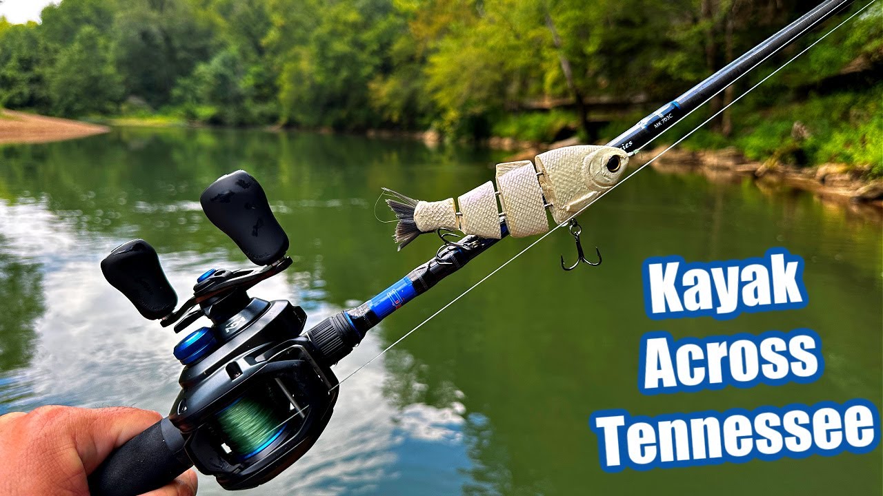 Middle Tennessee Smallmouth Fishing (Day 3)