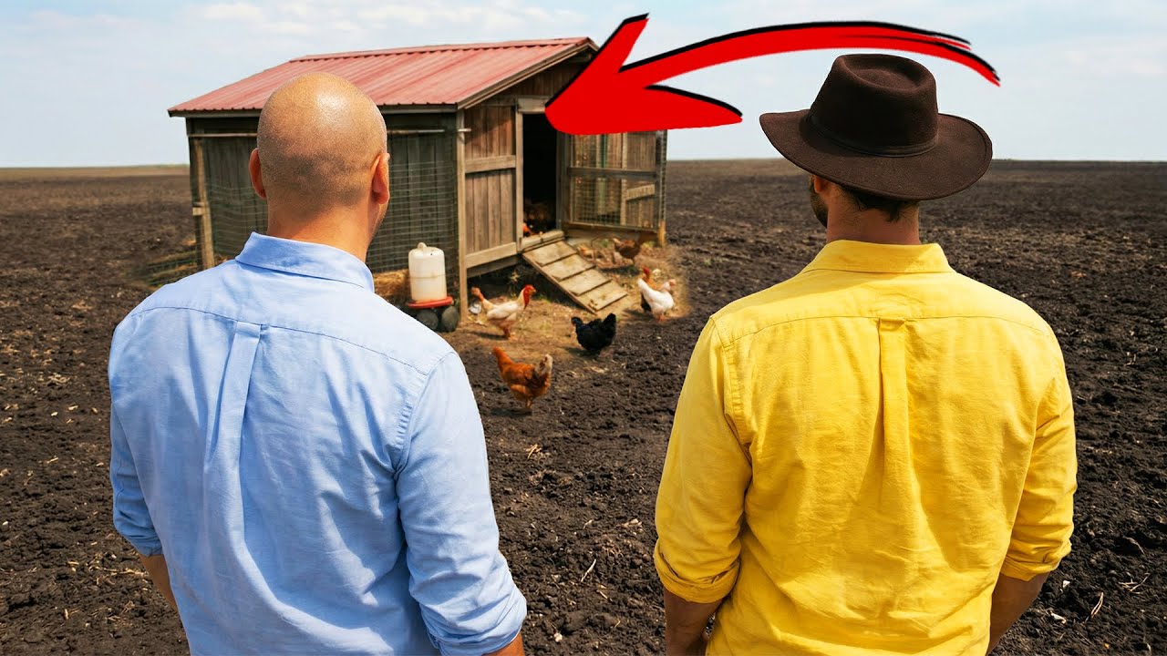 AM ADUS GAINI IN FERMA, SPER SA NU MOARA DE FOAME!