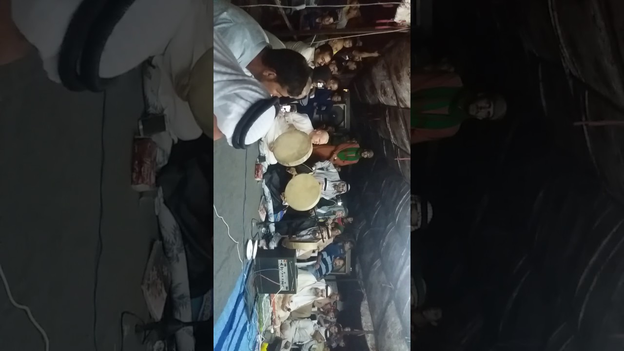 ديالى هبهب