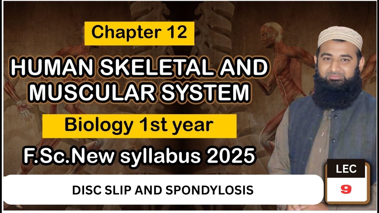 Disc slip and spondylosis | Human Skeletal and muscular system | Chapter 12| 1st Year Biology | L#09