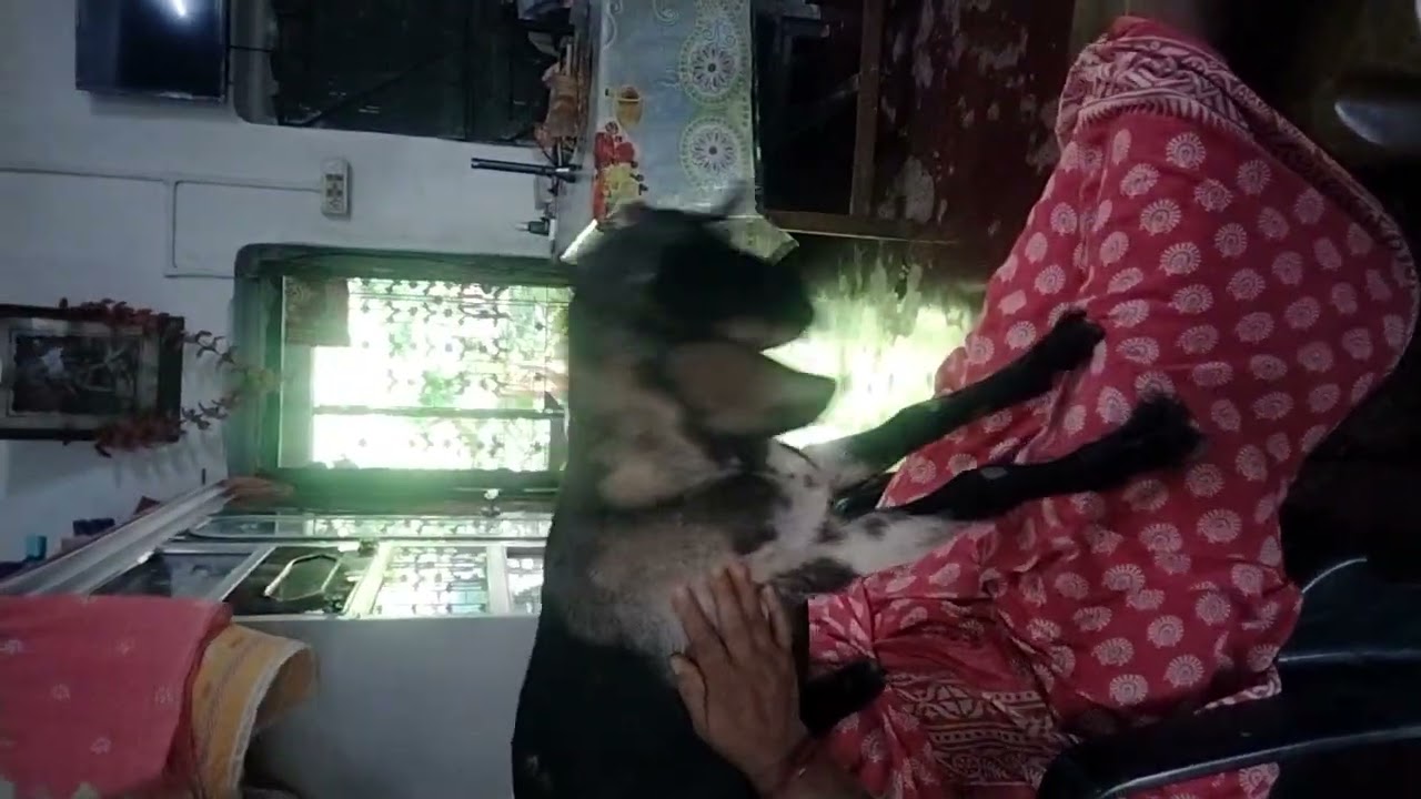 মা কে কত ভালো বাসা 