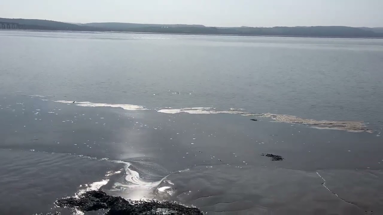 River Tay, Dundee - tide turning coming in - 20 March 2026, first day of Spring. 