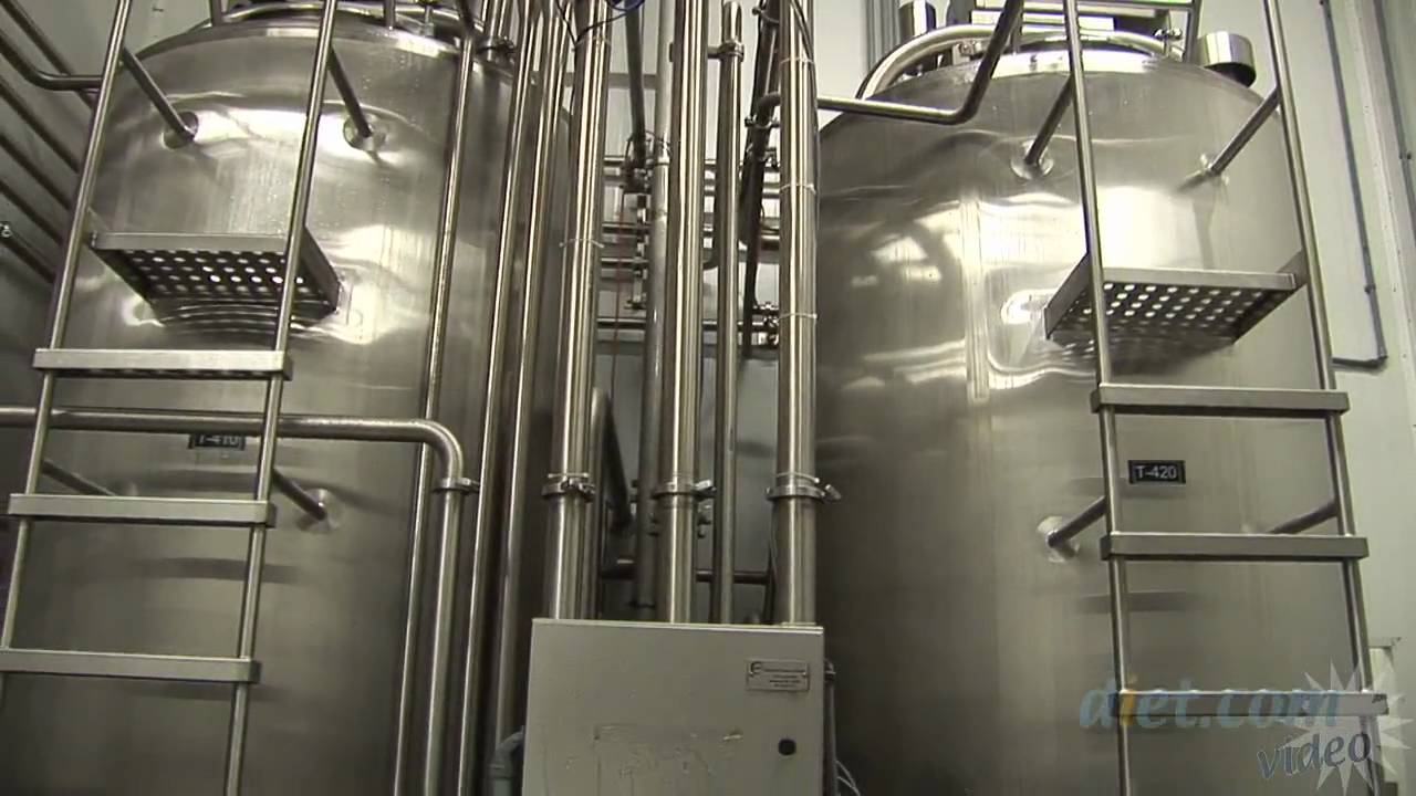 How To Make Hummus Factory Tour!