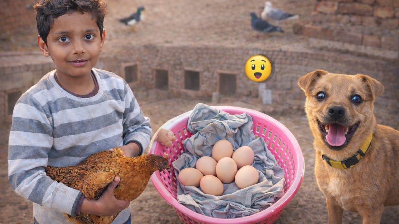 Aaj 3 Naye Anday Mil Gaye 😳 Duck Ya Murgi Ka Surprise?