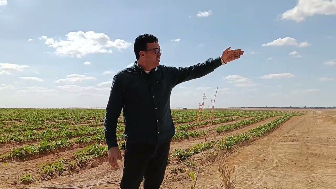 وادى النطرون افضل ارض على محور الضبعه