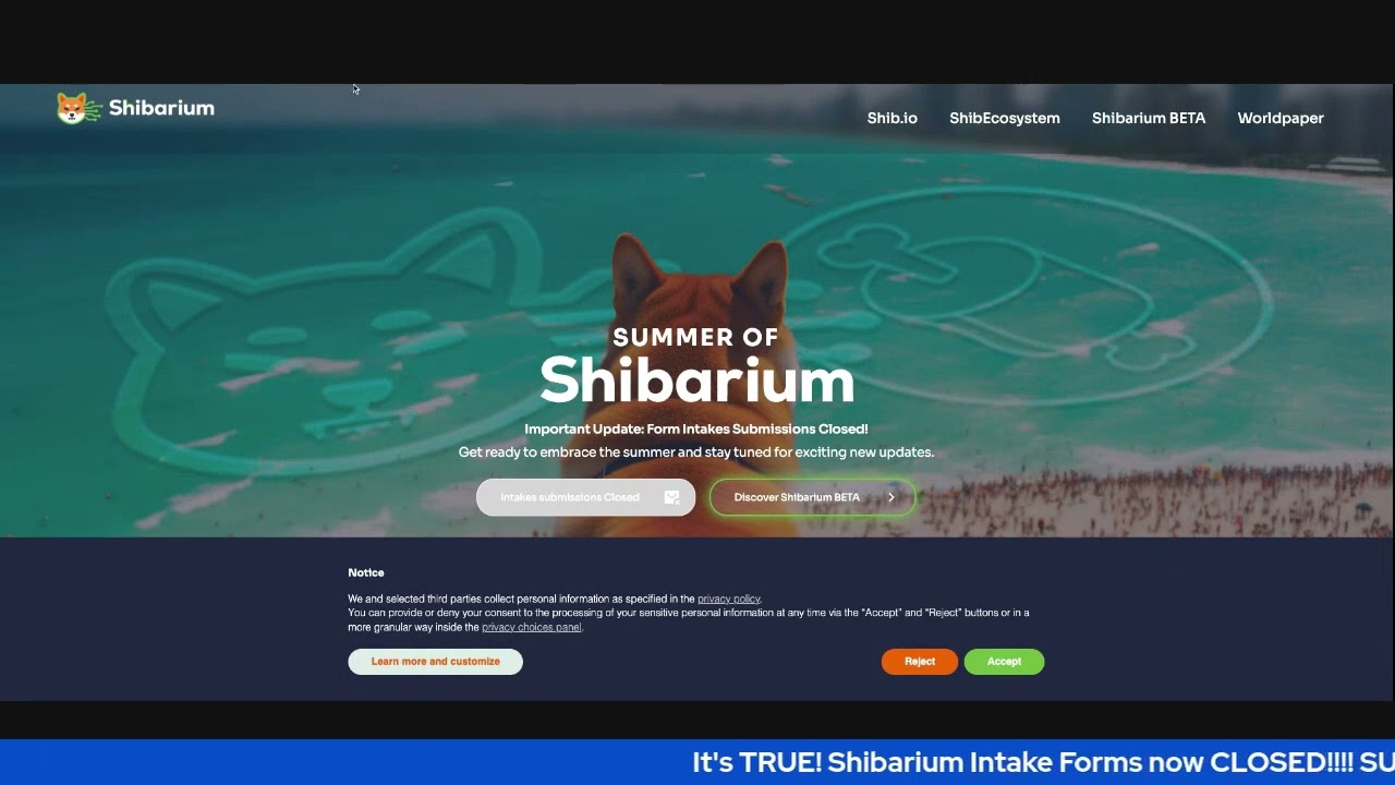 It's TRUE! Shibarium Intake Forms now CLOSED! #ShibariumSoon